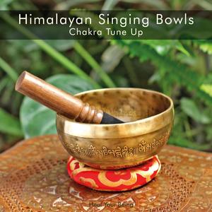 Himalayan Singing Bowls Chakra Tune Up