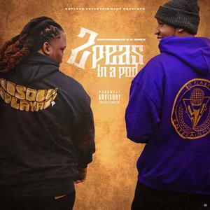 Fly Out(feat. Soplayamallo) (Explicit)