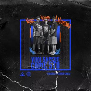 Vuoi Sapere Come Sto (feat. Haine & Ado Montana) [Explicit]