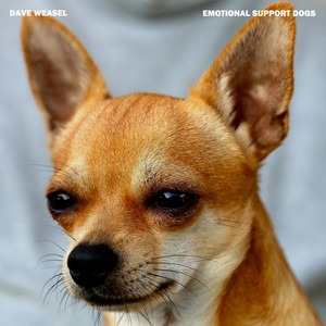 Emotional Support Dogs (Explicit)