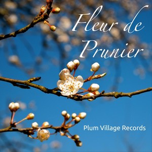 Fleur De Prunier