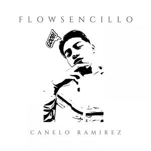 FLOW SENCILLO