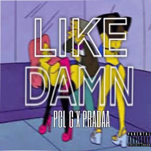 LIKE DAMN! (feat. pradaa)