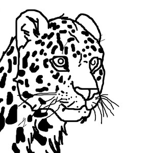 Flow Toca da Onça (Explicit)