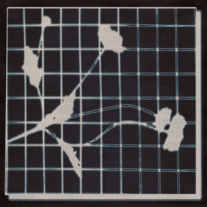 Too Close to be Gone, Yet Time Seems Difficult