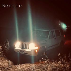 Beetle