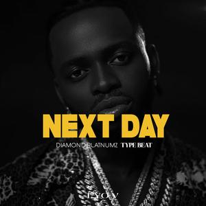 NEXT DAY AFROBEATS INSTRRUMENTALS2025