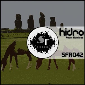 Roam (DJ Drako Remix)
