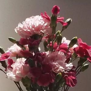 This Can't Be Life (feat. 845Fresh & Freeway Beats) (Remix)