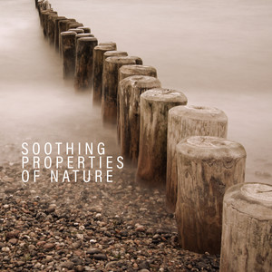 Most Nature Music