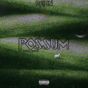 Possum (Explicit)