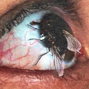 grove street (Explicit)