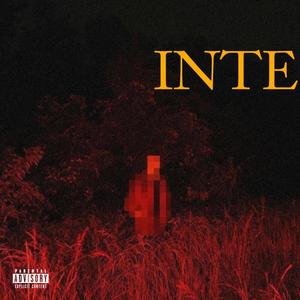 INTERPOL (Explicit)