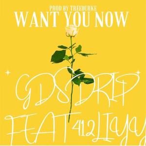 Want You Now (feat. 412Liyy) (Explicit)