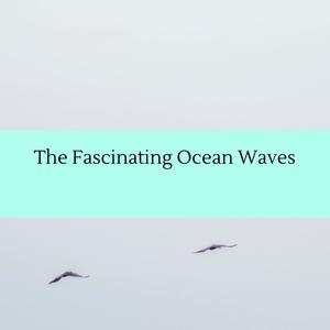 The Fascinating Ocean Waves