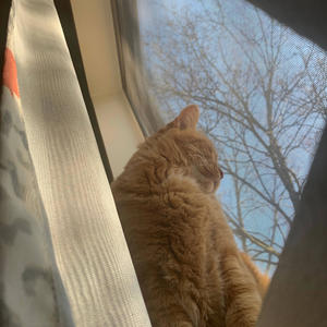 2019 (feat. ABL Ocho & 33dontay) (Explicit)