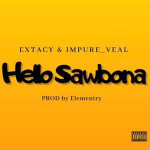 Hello Sawbona (feat. Impure_veal) (Explicit)
