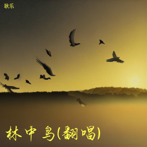林中鸟 (耿乐 remix)