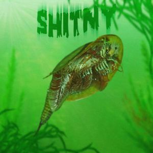 SHITNY (Explicit)