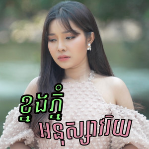 ខ្នងភ្នំអនុស្សាវរីយ៍