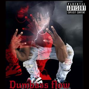 DumbVss flow (Explicit)