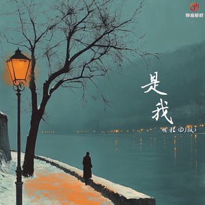 是我 (DJ豪大大版伴奏)