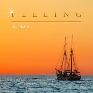 Feeling, Vol. 3