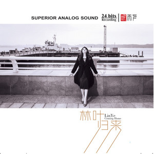 林叶 - 似是故人来 (伴奏)