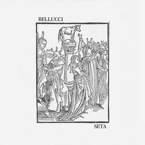 Seta