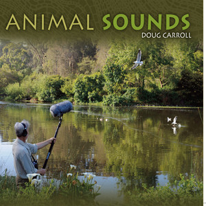 Animal Sounds