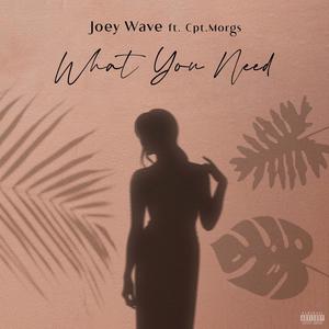 What you need (feat. Cpt. Morgs) (Explicit)
