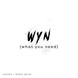 VIPCOSI - what you need (Explicit)