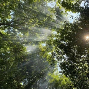 why would i doit again? (Explicit)