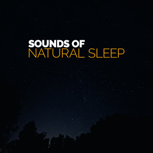 Sounds of Natural Sleep