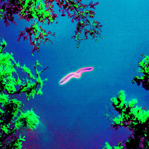 Canto Dormido (Ian Lampel Remix)