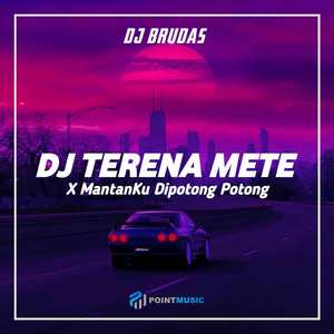 DJ Terena Mete X Mantanku Dipotong Potong - Inst