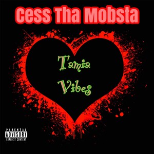 Tamia Vibes (Explicit)