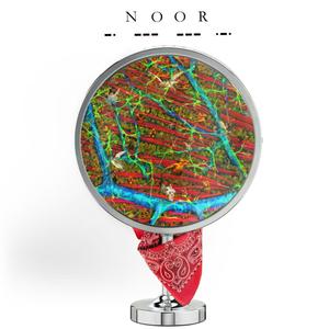 AYNE(feat. ARIAN RZ) (Explicit)