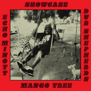 Mango Tree Showcase