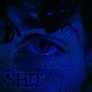 Mainstream SH!T (Explicit)
