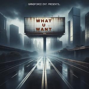 What U Want (feat. Endoxos & Valentine Castro)
