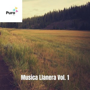 Música Llanera, Vol. 1