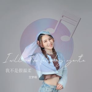 我不会假温柔 (Remix)