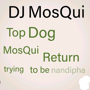 Trying to be Nandipha