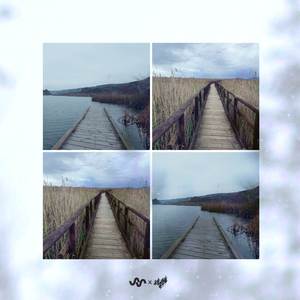 Between Lake and Marsh