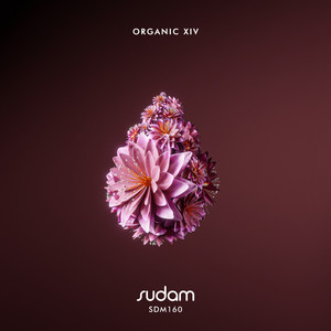 Organic XIV