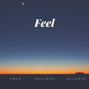 Feel (feat. Tmzn & Partyone) [Explicit]