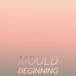 Mould Beginning