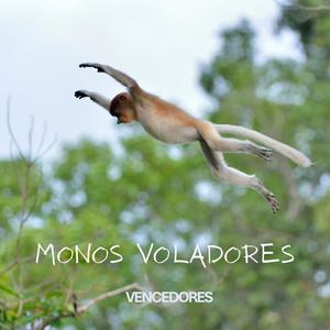 Monos voladores