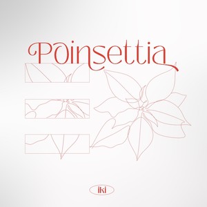 Poinsettia